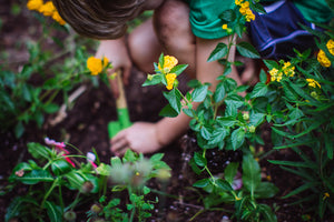 Go Green for Earth Day (& Everyday) with Help from Backyard Safari