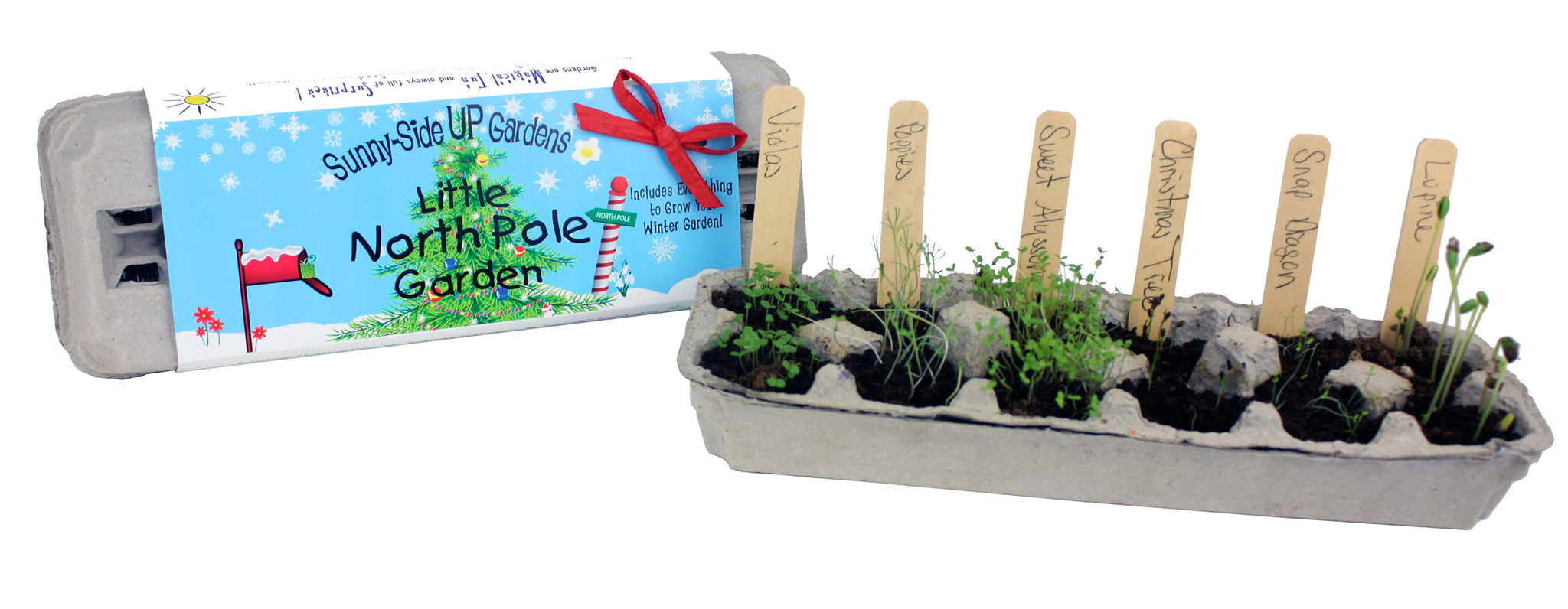 Little North Pole Garden